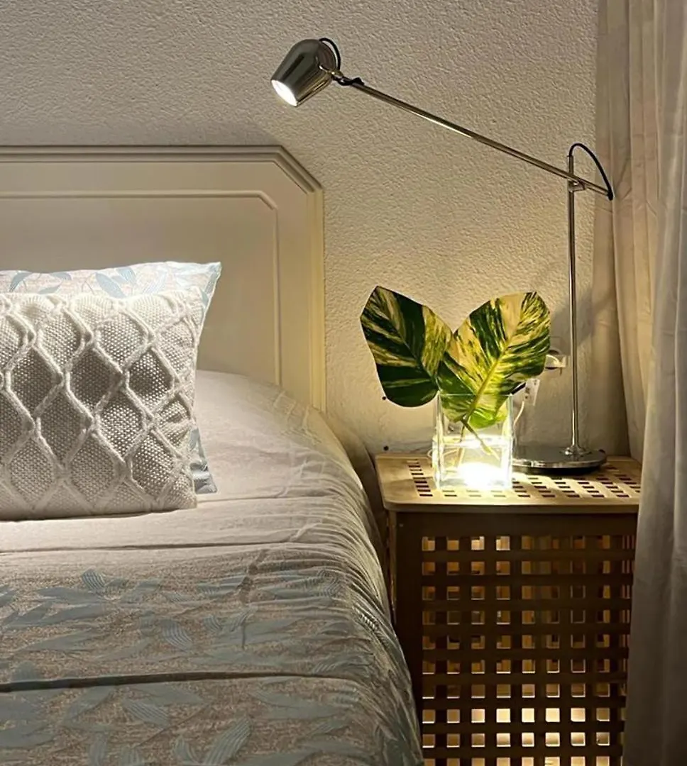 Coconut Apartament In Garden City Playa Feñabe 公寓