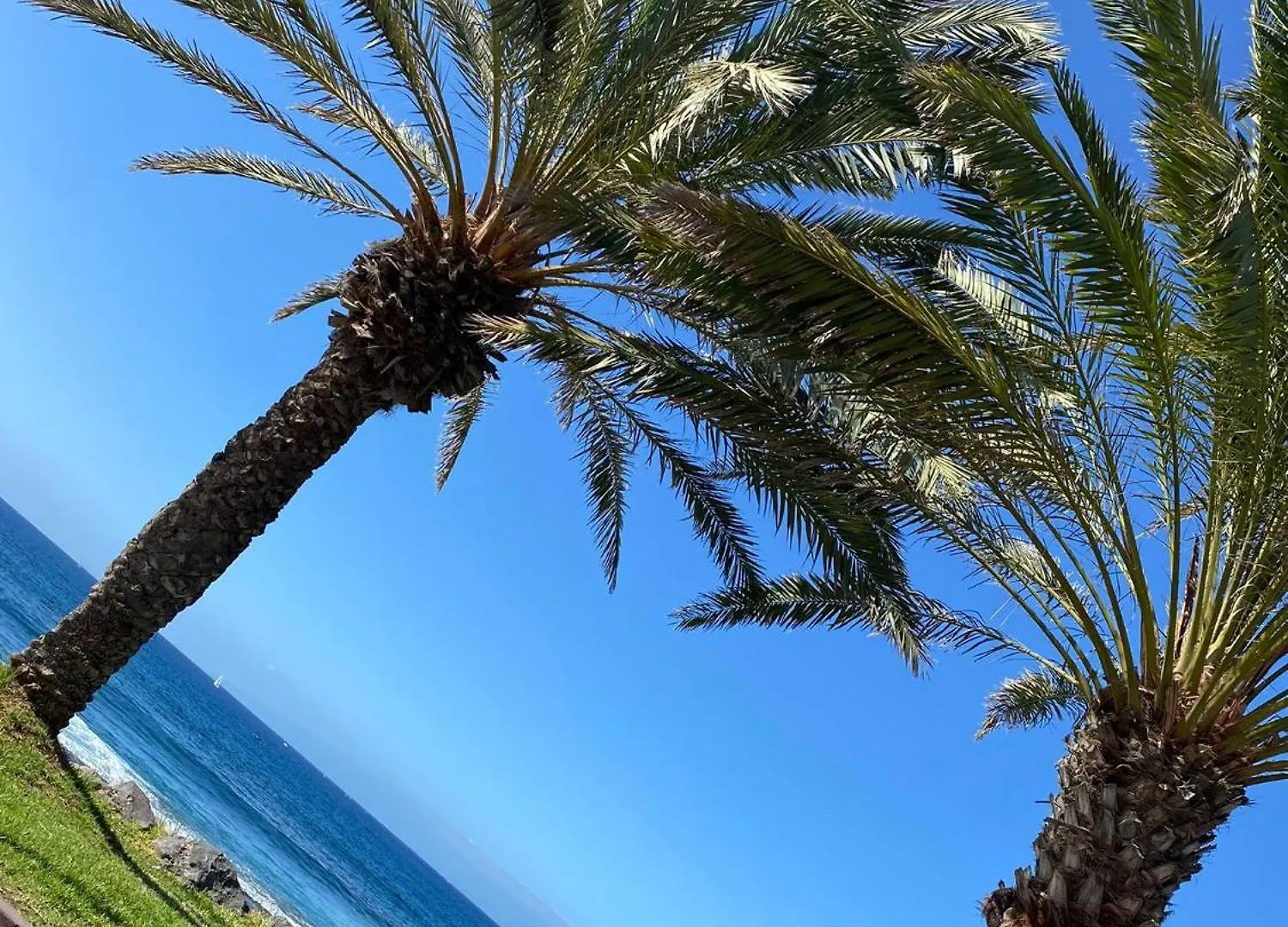 Coconut Apartament In Garden City Playa Feñabe